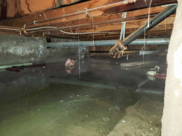 Best Residential water damage restoration  in Olcott, NY