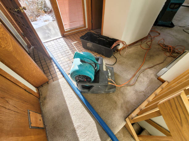 Best Water damage mitigation services  in Olcott, NY