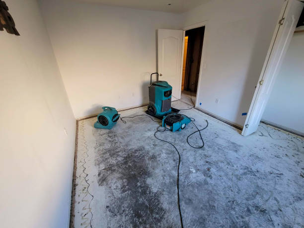 Best Professional water damage repair  in Olcott, NY