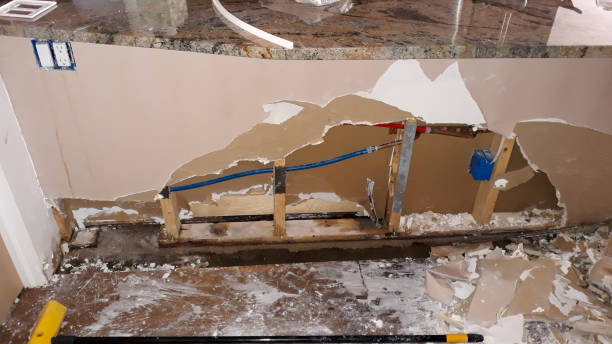 Best Mold removal after water damage  in Olcott, NY