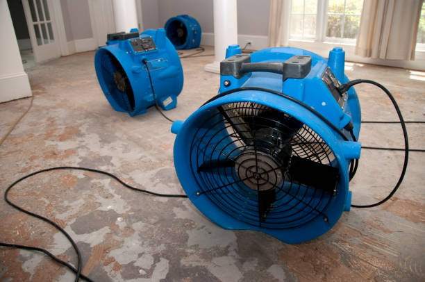 Best Flood restoration services  in Olcott, NY