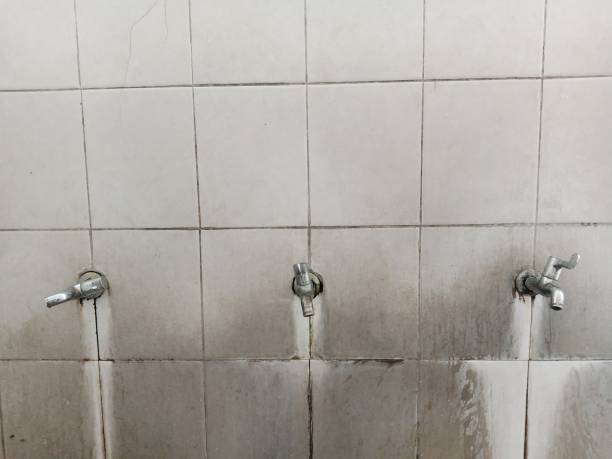  Olcott, NY Water damage restoration Pros