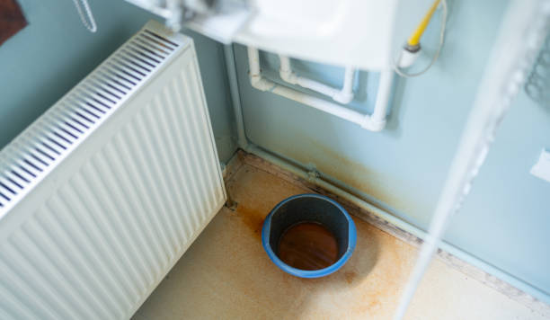 Best Fire Damage Restoration  in Olcott, NY