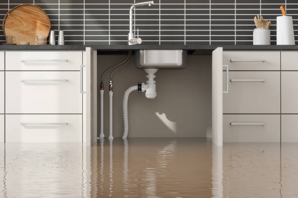 Best Water damage restoration insurance claims  in Olcott, NY