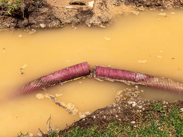 Best Sewage cleanup and water damage restoration  in Olcott, NY